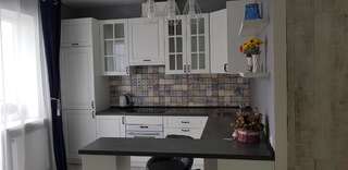 Апартаменты Apartment in citycenter on Repina 4 Минск Улучшенные апартаменты-28