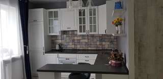 Апартаменты Apartment in citycenter on Repina 4 Минск Улучшенные апартаменты-3